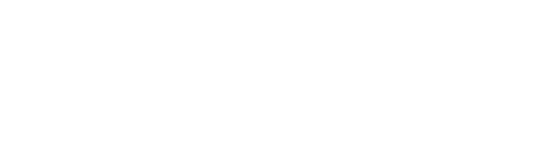 Zuid-Holland logo
